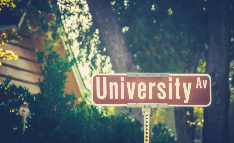 how to support your university student learner